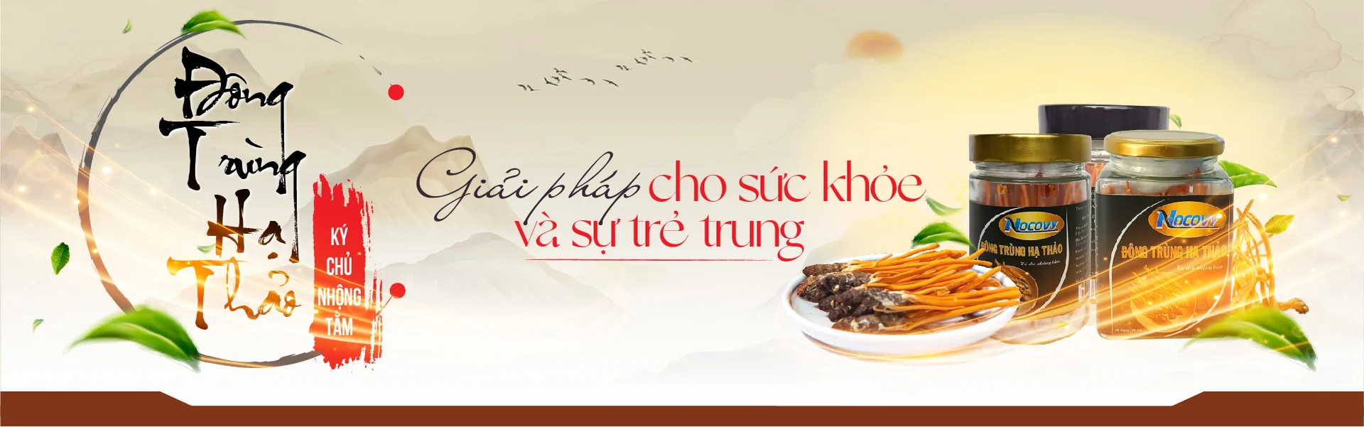 Đông Trùng Hạ Thảo Nocovy — Tinh Hoa Từ Đỉnh Himalaya